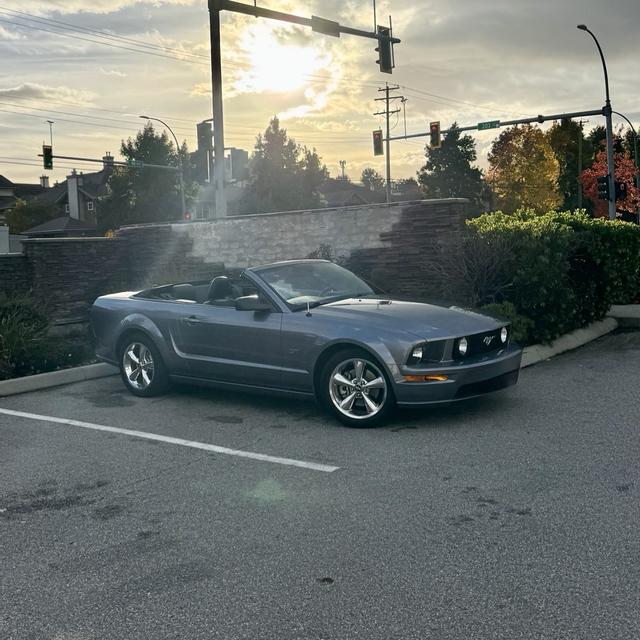 Recent check-in photo 5