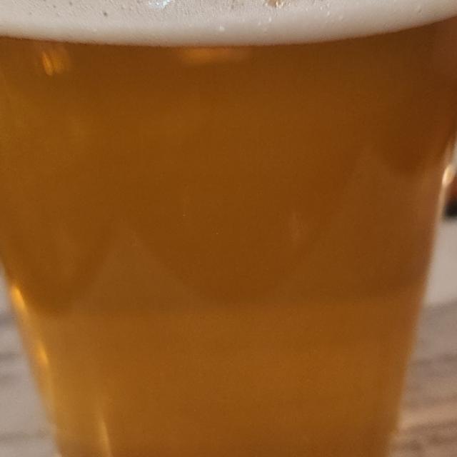 Recent check-in photo 5