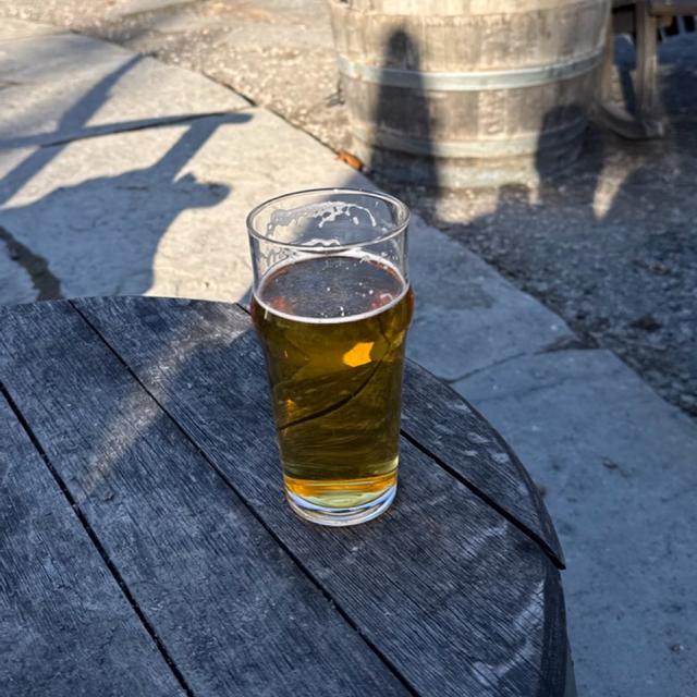 Recent check-in photo 6