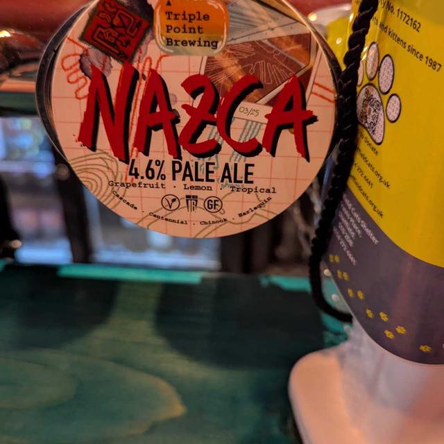 Recent check-in photo 3