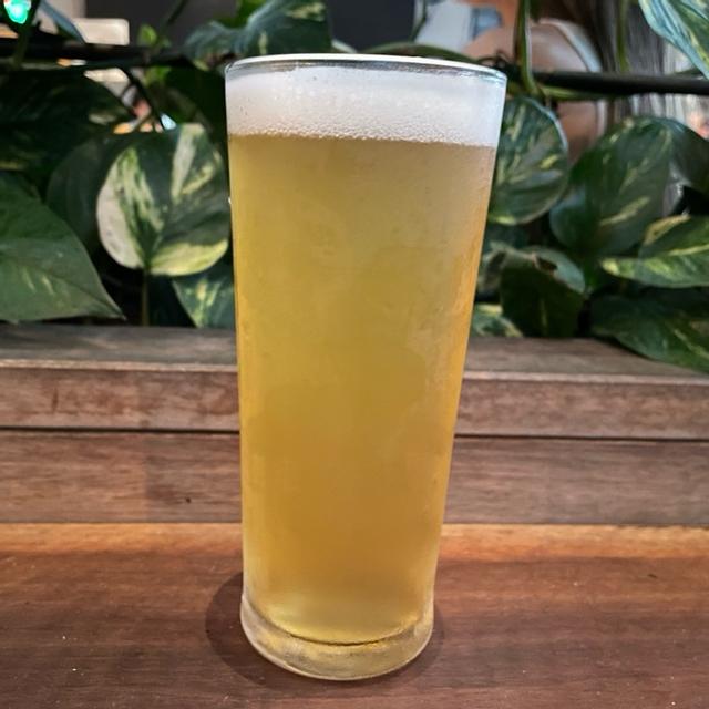 Recent check-in photo 6