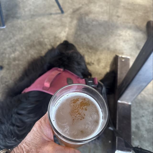 Recent check-in photo 1