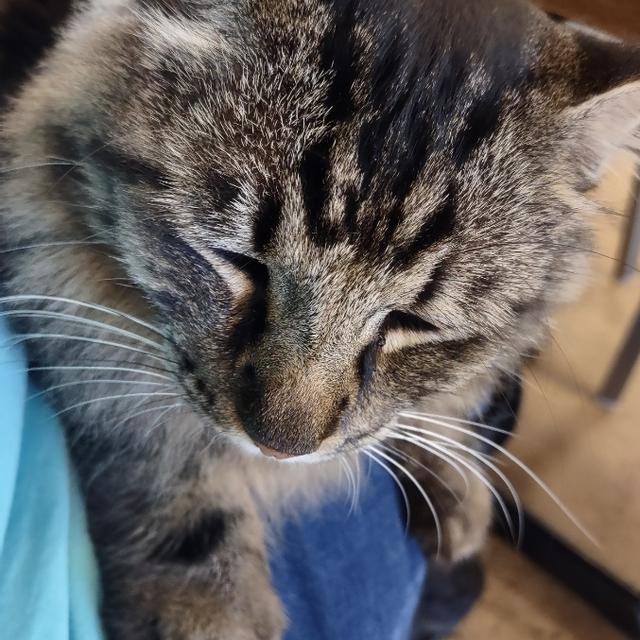 Recent check-in photo 1