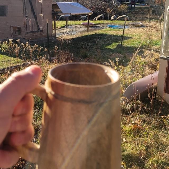 Recent check-in photo 6