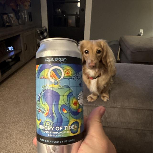 Recent check-in photo 5