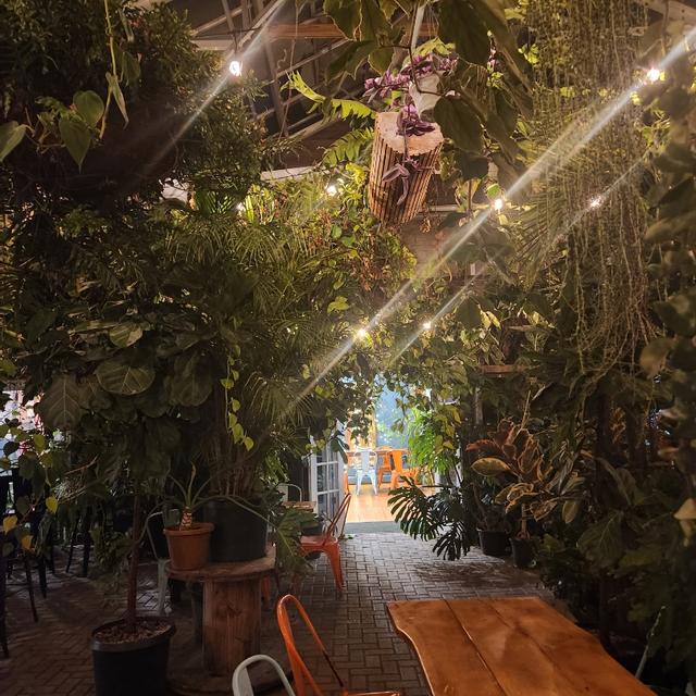 Recent check-in photo 1