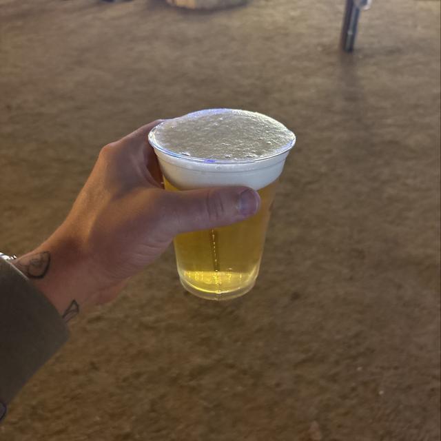 Recent check-in photo 6