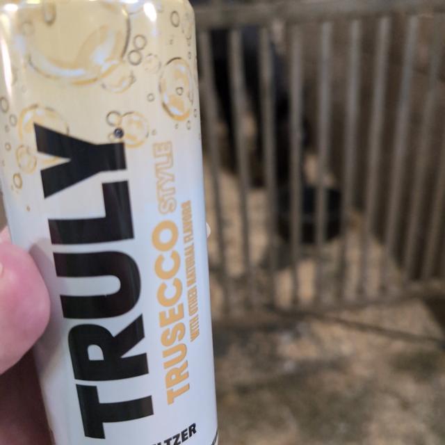 Recent check-in photo 4