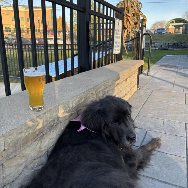 Recent check-in photo 4