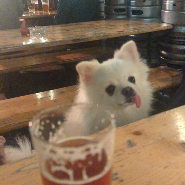 Recent check-in photo 2