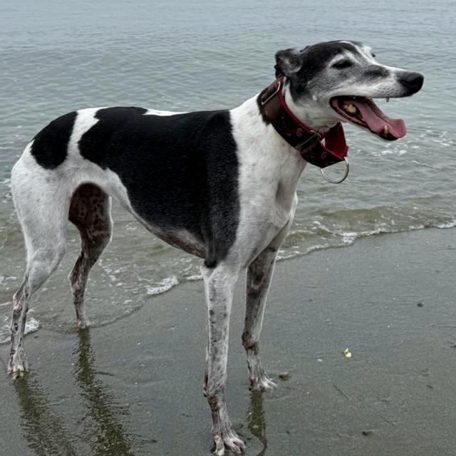 Recent check-in photo 6