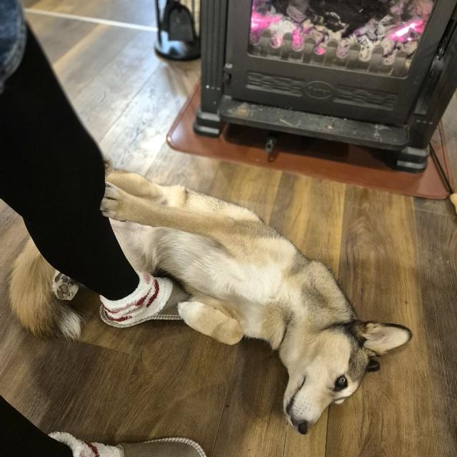 Recent check-in photo 1