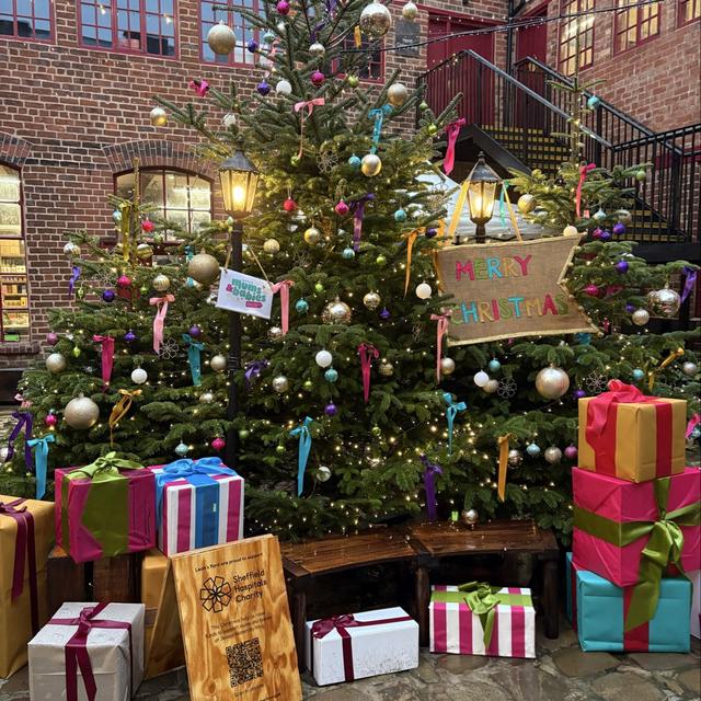 Recent check-in photo 3