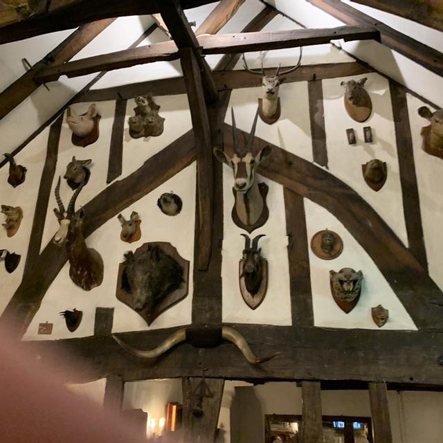 Recent check-in photo 4