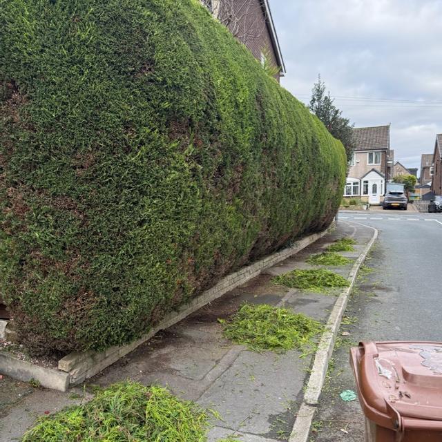 Recent check-in photo 2