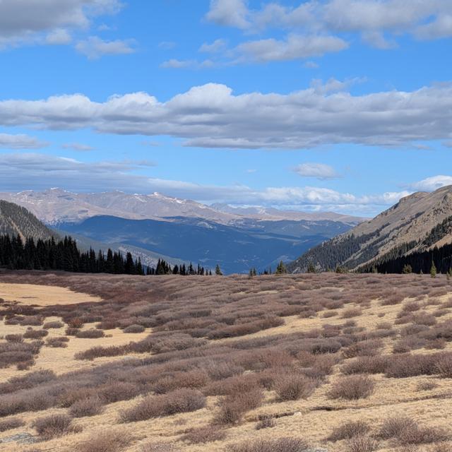 Recent check-in photo 3