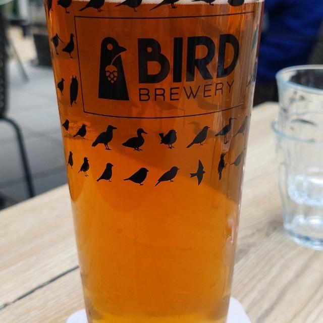 Recent check-in photo 5