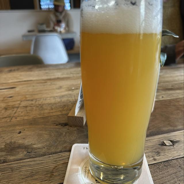 Recent check-in photo 6