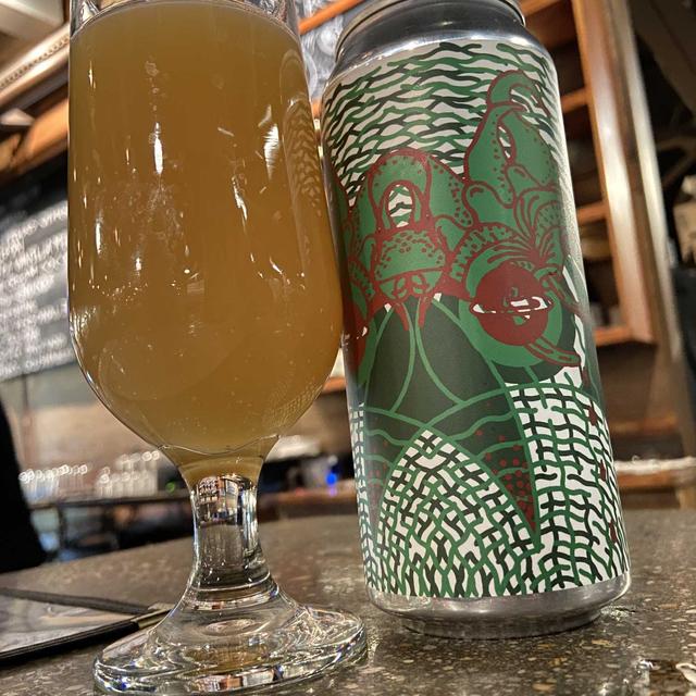 Recent check-in photo 6