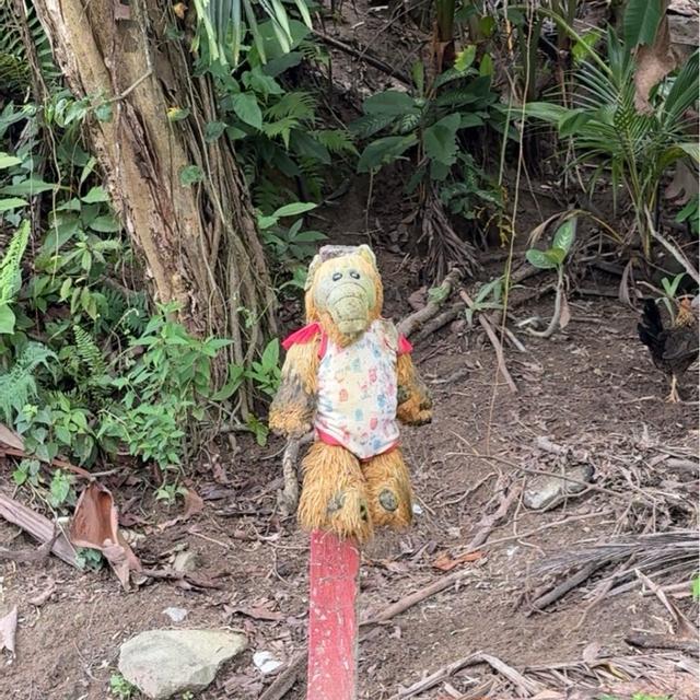 Recent check-in photo 4