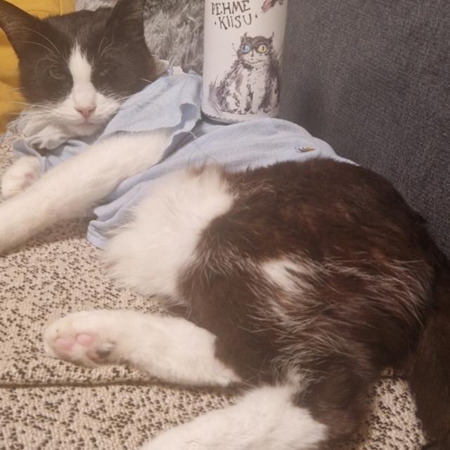 Recent check-in photo 1