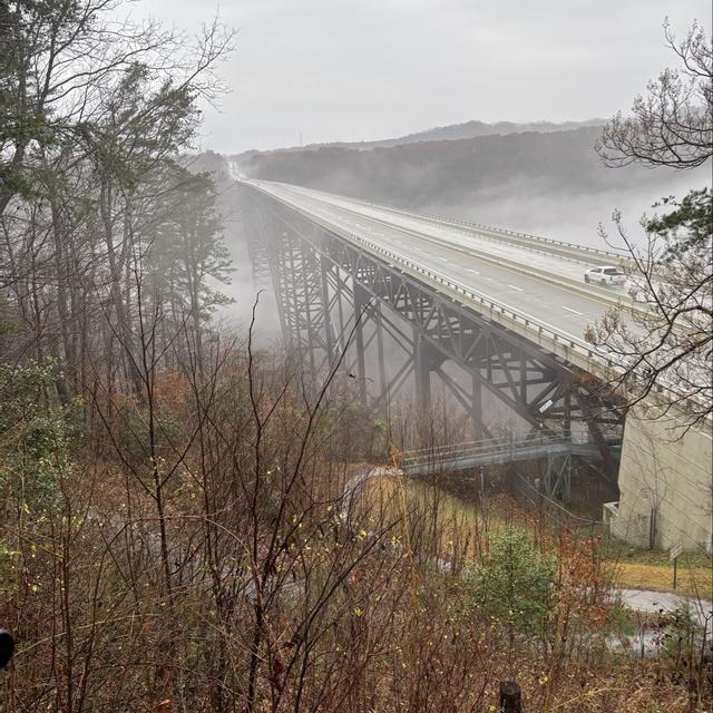 Recent check-in photo 4