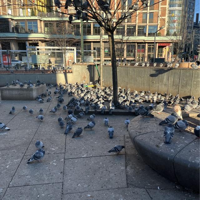 Recent check-in photo 3