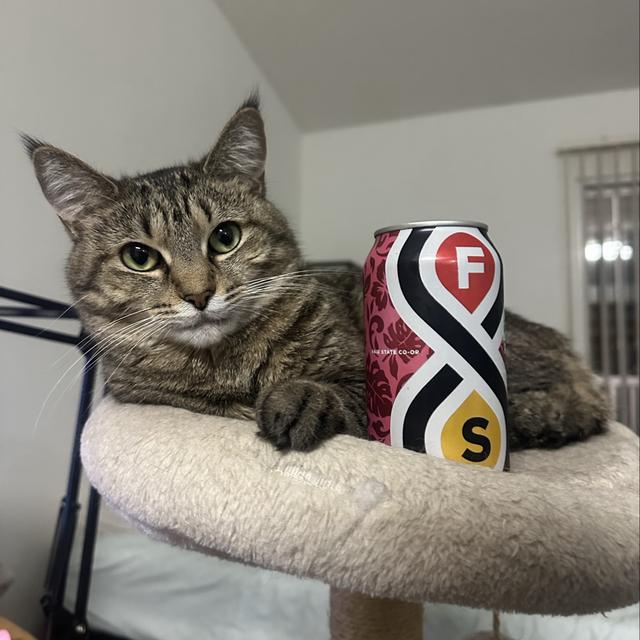 Recent check-in photo 4