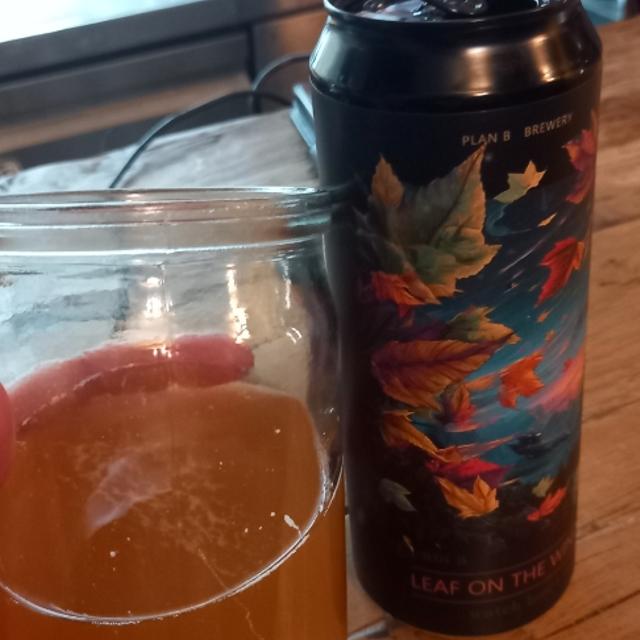 Recent check-in photo 5