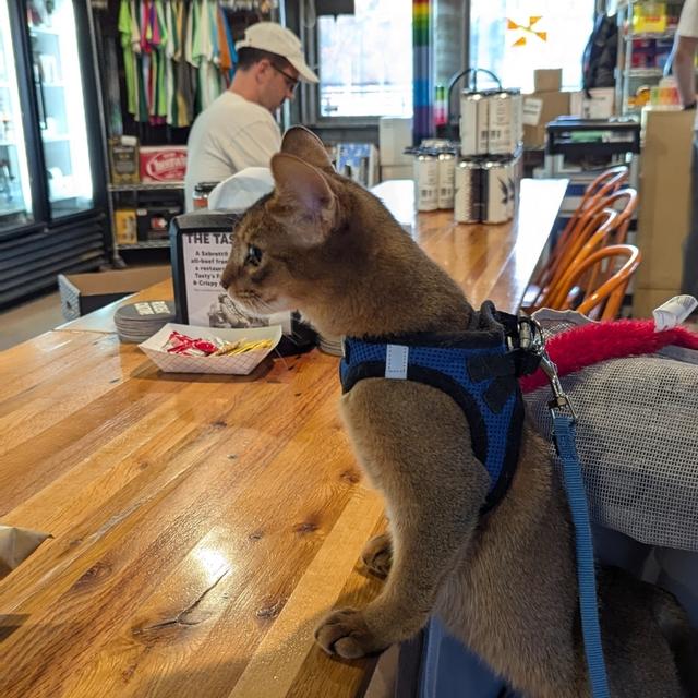 Recent check-in photo 3