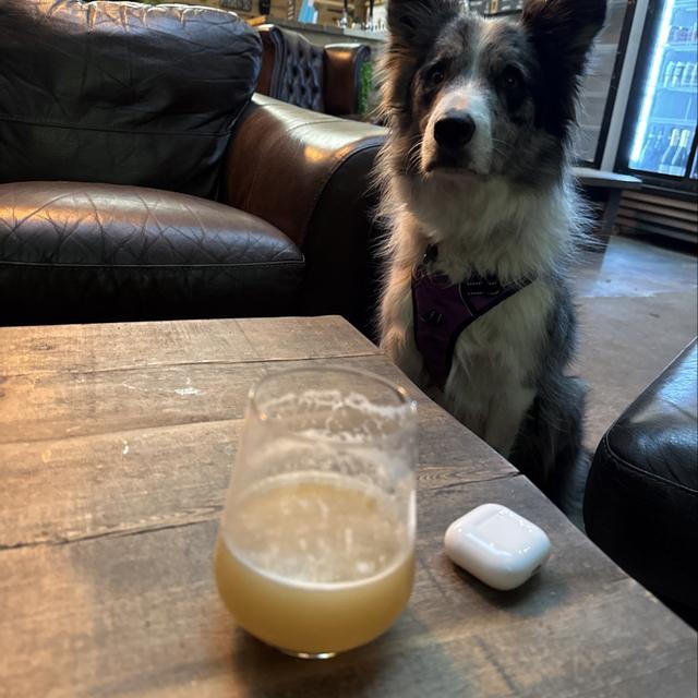 Recent check-in photo 4