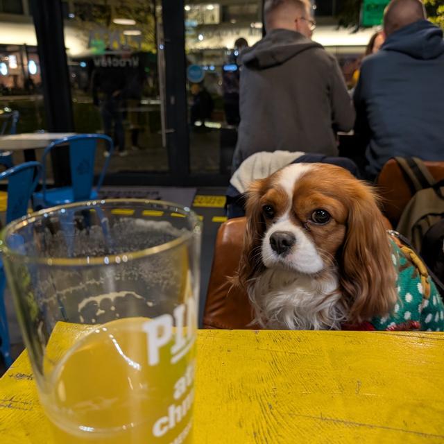 Recent check-in photo 2