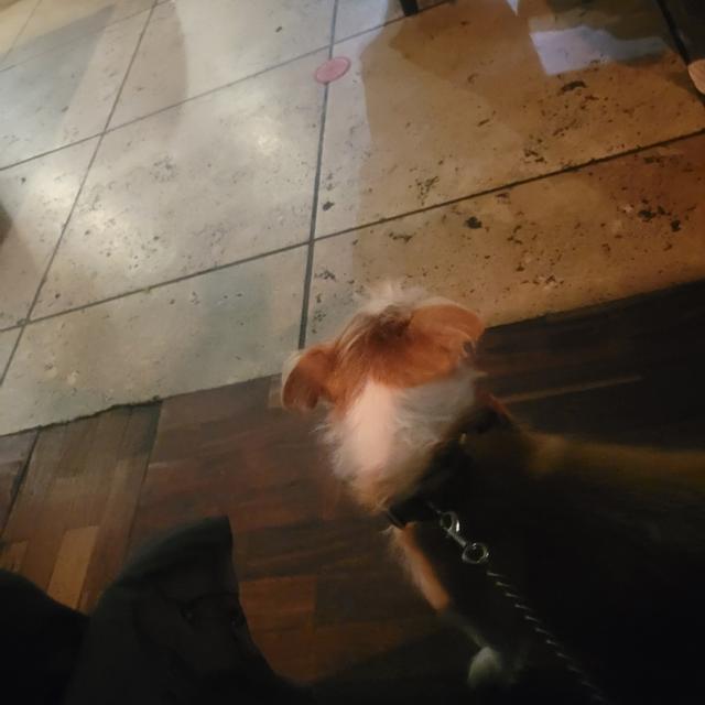 Recent check-in photo 2