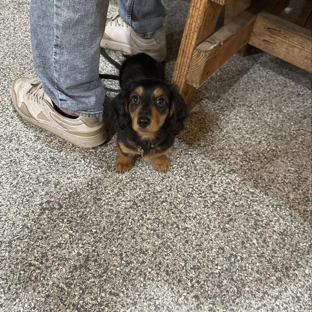 Recent check-in photo 1