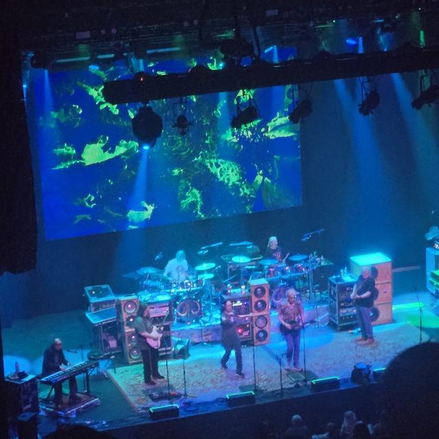 Recent check-in photo 6