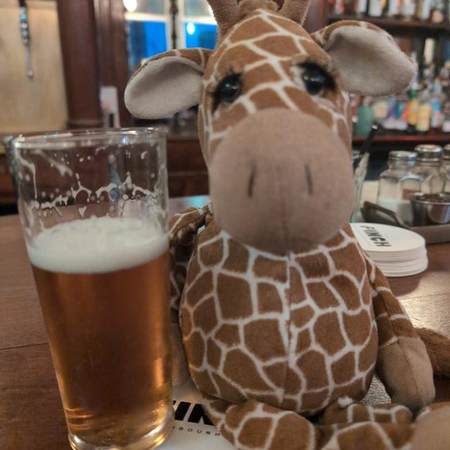 Recent check-in photo 2