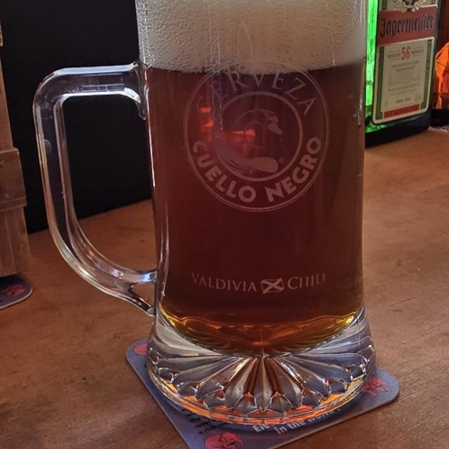 Recent check-in photo 5