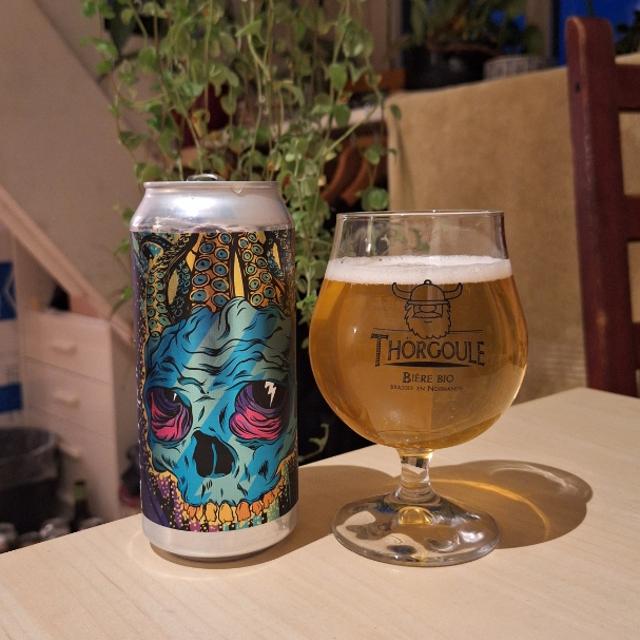 Recent check-in photo 5