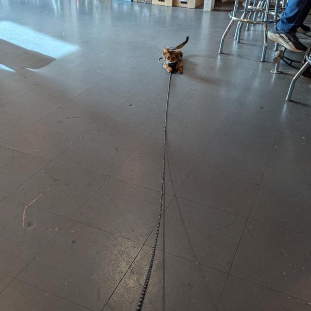 Recent check-in photo 2