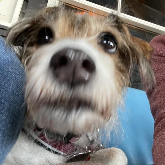 Recent check-in photo 3