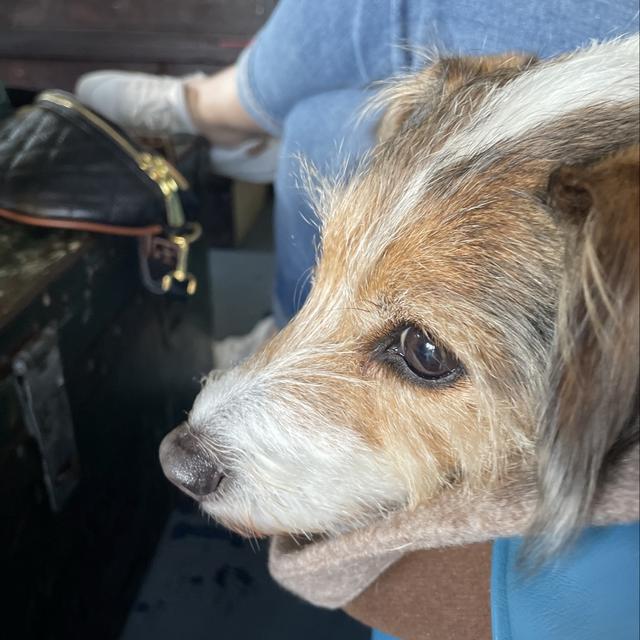 Recent check-in photo 4