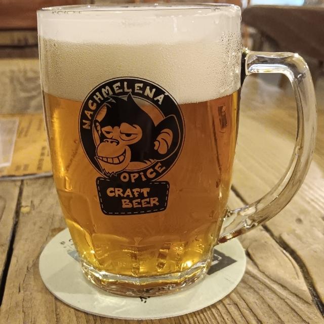 Recent check-in photo 5