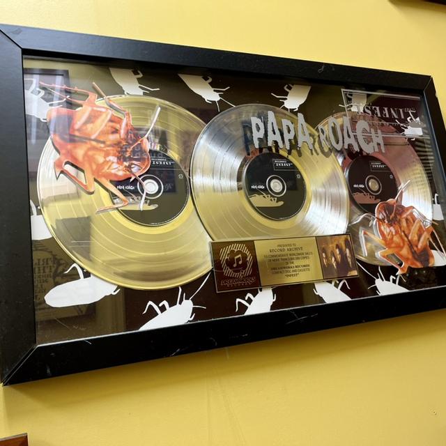 Recent check-in photo 2