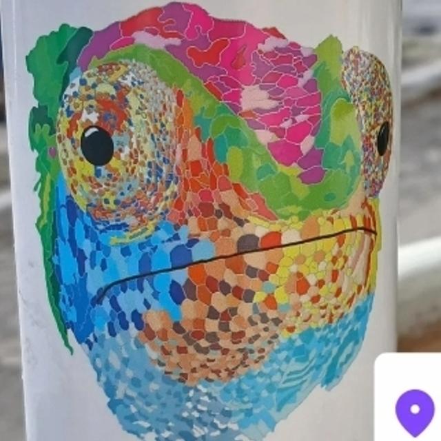 Recent check-in photo 4