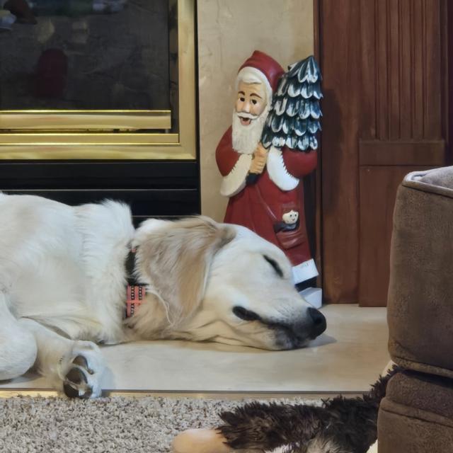 Recent check-in photo 2