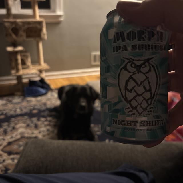 Recent check-in photo 4