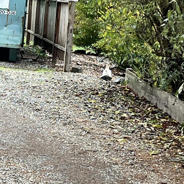 Recent check-in photo 6