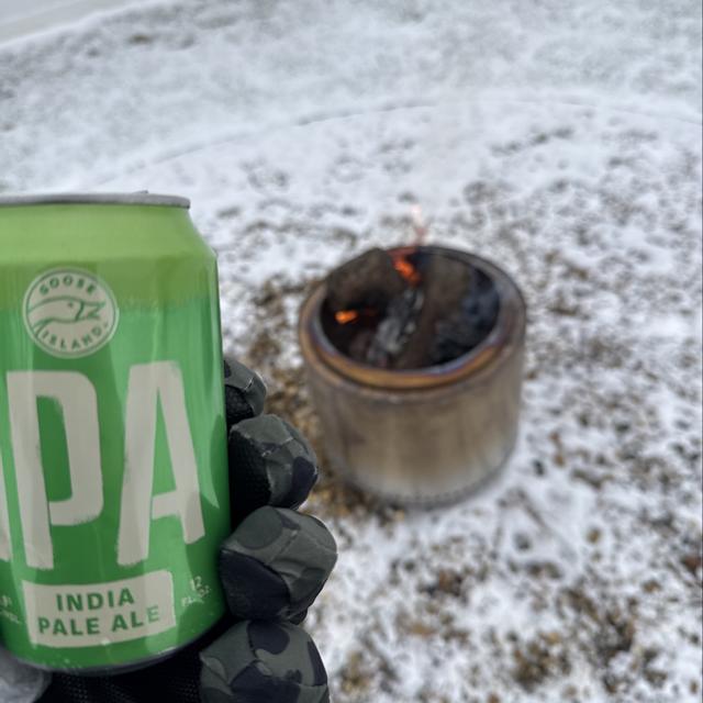 Recent check-in photo 2