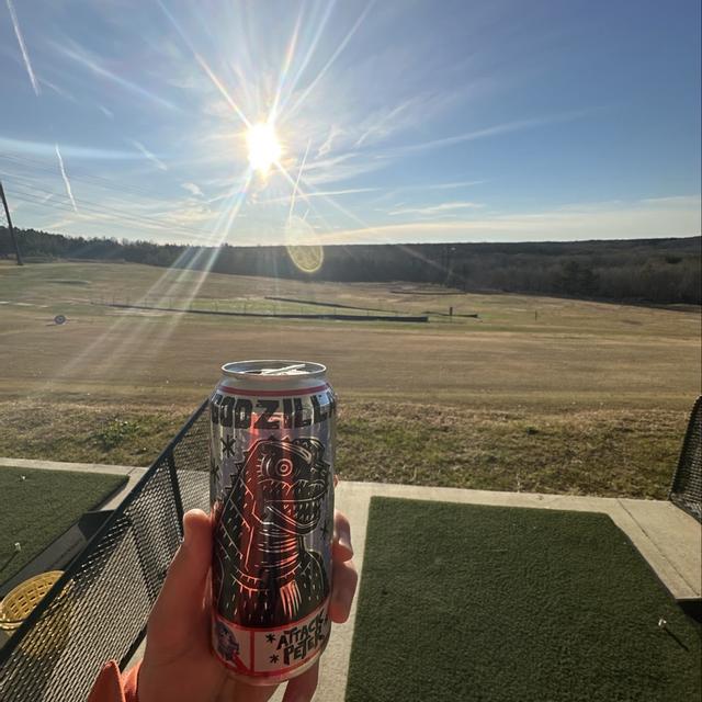 Recent check-in photo 4