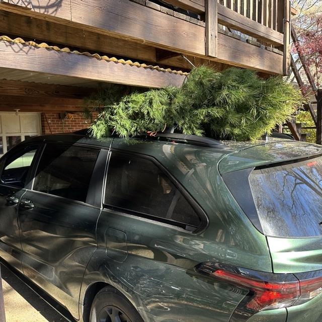 Recent check-in photo 3